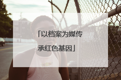 以档案为媒传承红色基因