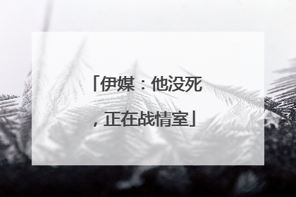 伊媒：他没死，正在战情室