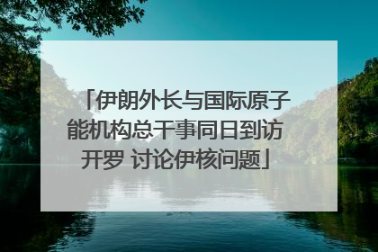 伊朗外长与国际原子能机构总干事同日到访开罗 讨论伊核问题