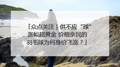 众点关注｜供不应“球” 涨幅超黄金 价格亲民的羽毛球为何身价飞涨？