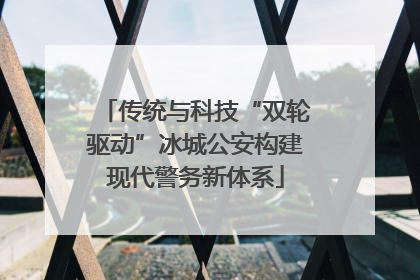传统与科技“双轮驱动”冰城公安构建现代警务新体系