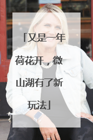 又是一年荷花开，微山湖有了新玩法