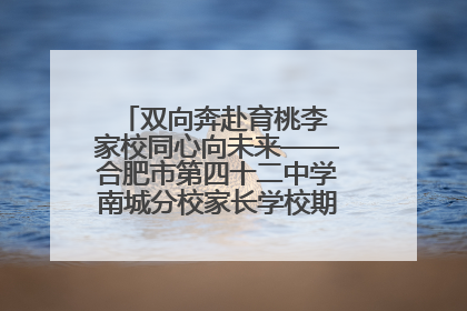 双向奔赴育桃李 家校同心向未来——合肥市第四十二中学南城分校家长学校期末总结会圆满召开