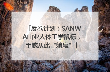 反卷计划：SANWA山业人体工学鼠标，手腕从此“躺赢”