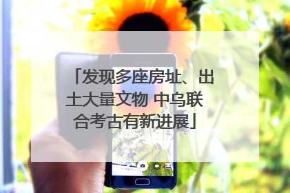 发现多座房址、出土大量文物 中乌联合考古有新进展