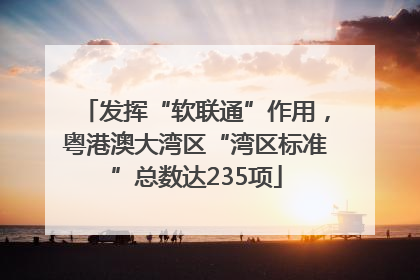 发挥“软联通”作用，粤港澳大湾区“湾区标准”总数达235项