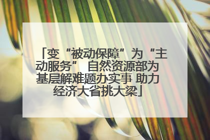 变“被动保障”为“主动服务” 自然资源部为基层解难题办实事 助力经济大省挑大梁