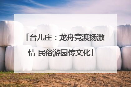 台儿庄：龙舟竞渡扬激情 民俗游园传文化
