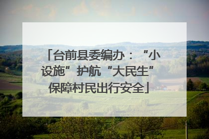 台前县委编办：“小设施”护航“大民生” 保障村民出行安全