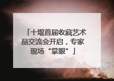 十堰首届收藏艺术品交流会开启，专家现场“掌眼”
