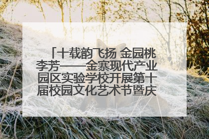 十载韵飞扬 金园桃李芳——金寨现代产业园区实验学校开展第十届校园文化艺术节暨庆“六一”系列活动