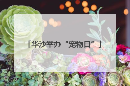 华沙举办“宠物日”