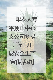 华泰人寿平顶山中心支公司多措并举  开展安全生产宣传活动