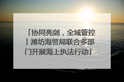 协同亮剑，全域管控丨潍坊海警局联合多部门开展海上执法行动