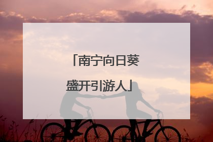 南宁向日葵盛开引游人