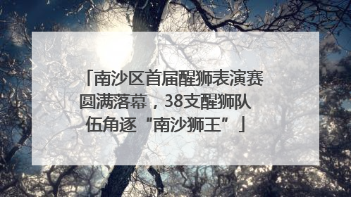 南沙区首届醒狮表演赛圆满落幕，38支醒狮队伍角逐“南沙狮王”