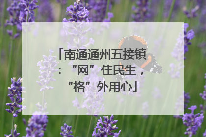 南通通州五接镇：“网”住民生，“格”外用心