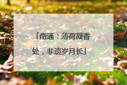 南通：薄荷凝香处，非遗岁月长