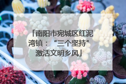 南阳市宛城区红泥湾镇：“三个坚持”激活文明乡风
