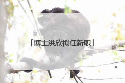 博士洪欣拟任新职