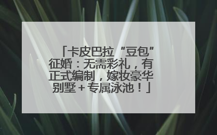 卡皮巴拉“豆包”征婚：无需彩礼，有正式编制，嫁妆豪华别墅＋专属泳池！