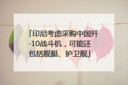 印尼考虑采购中国歼-10战斗机，可能还包括舰艇、护卫舰
