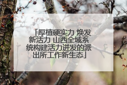 厚植硬实力 焕发新活力 山西全域系统构建活力迸发的派出所工作新生态