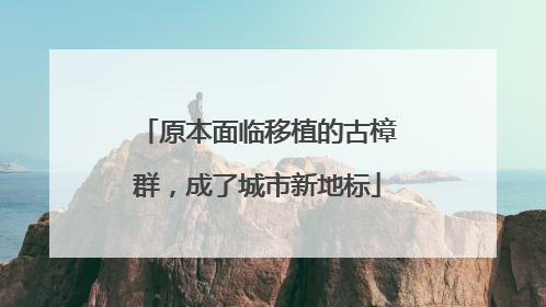 原本面临移植的古樟群，成了城市新地标