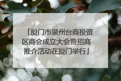 厦门市泉州台商投资区商会成立大会暨招商推介活动在厦门举行