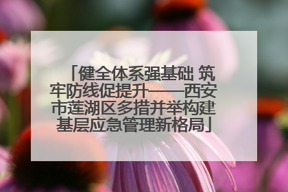 健全体系强基础 筑牢防线促提升——西安市莲湖区多措并举构建基层应急管理新格局