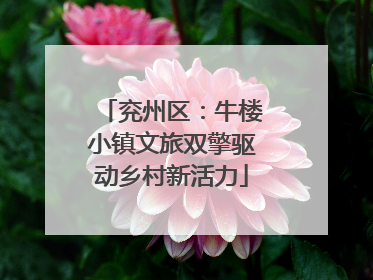 兖州区：牛楼小镇文旅双擎驱动乡村新活力