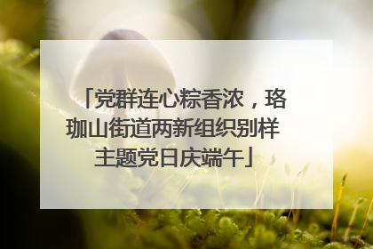 党群连心粽香浓，珞珈山街道两新组织别样主题党日庆端午