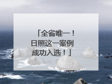 全省唯一！日照这一案例成功入选！