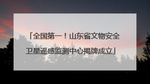 全国第一！山东省文物安全卫星遥感监测中心揭牌成立