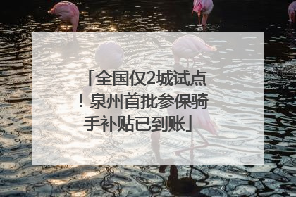 全国仅2城试点！泉州首批参保骑手补贴已到账