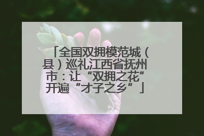 全国双拥模范城（县）巡礼江西省抚州市：让“双拥之花”开遍“才子之乡”