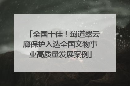 全国十佳！蜀道翠云廊保护入选全国文物事业高质量发展案例