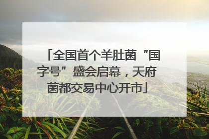 全国首个羊肚菌“国字号”盛会启幕，天府菌都交易中心开市