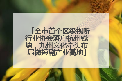 全市首个区级视听行业协会落户杭州钱塘，九州文化牵头布局微短剧产业高地
