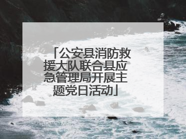 公安县消防救援大队联合县应急管理局开展主题党日活动