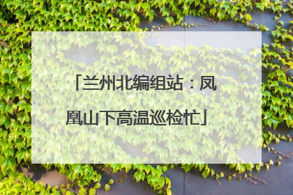 兰州北编组站：凤凰山下高温巡检忙