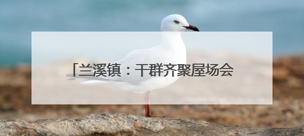 兰溪镇：干群齐聚屋场会，共绘乡村“靓”图景
