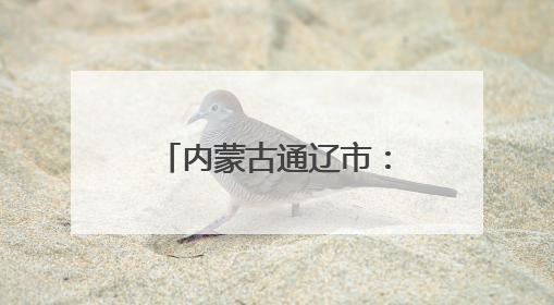 内蒙古通辽市：项目浪潮涌动，创新驱动未来