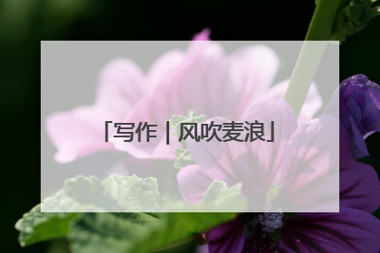 写作｜风吹麦浪