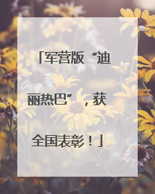 军营版“迪丽热巴”，获全国表彰！