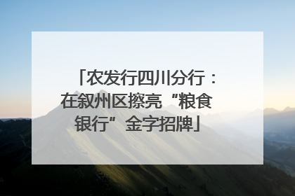 农发行四川分行：在叙州区擦亮“粮食银行”金字招牌