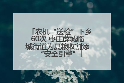 农机“送检”下乡60次 枣庄薛城临城街道为夏粮收割添“安全引擎”