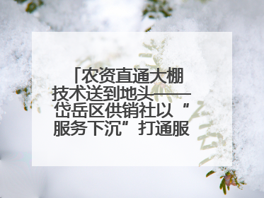 农资直通大棚 技术送到地头——岱岳区供销社以“服务下沉”打通服务“三农”最后一公里