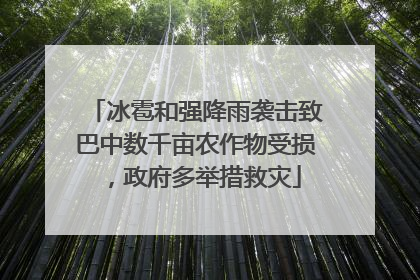 冰雹和强降雨袭击致巴中数千亩农作物受损，政府多举措救灾