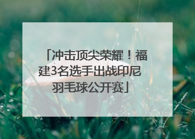 冲击顶尖荣耀！福建3名选手出战印尼羽毛球公开赛
